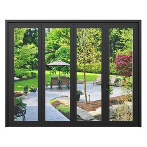 Black French Steel Door with Glass