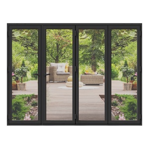 Black French Steel Door with Glass