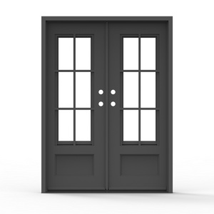 Black French Steel Door with Glass