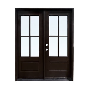 Black French Steel Door with Glass