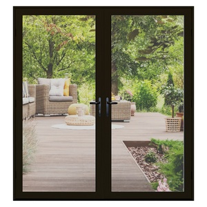 Black French Steel Door with Glass
