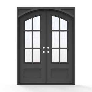 Black French Steel Door with Glass