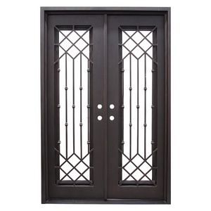 Lux Full View Iron Door