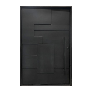 Maidstone Pivot Iron Door