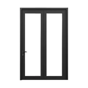 Black French Steel Door with Glass